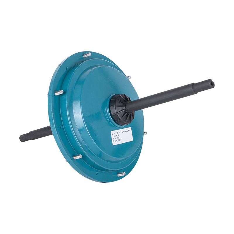 DC149 220V/700W External BLDC Air Cooler Motor