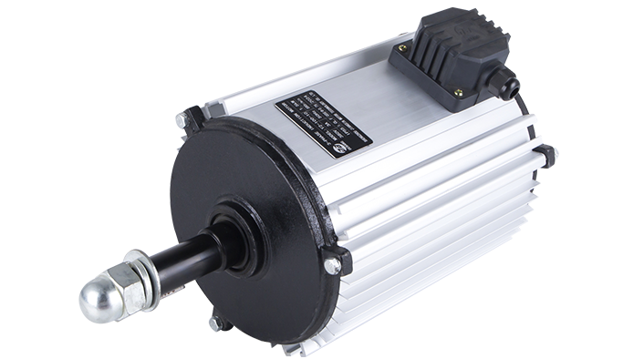 Other Motor